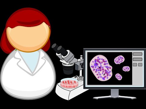 DEFINICIÓN DE BIOLOGÍA MOLECULAR en La Voz Silenciosa