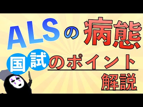 教科書をわかりやすく！「ALS〜筋萎縮性側索硬化症〜の病態とは？」症状の機序を解説！