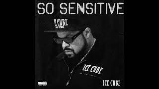 Ice Cube - So Sensitive (AUDIO)