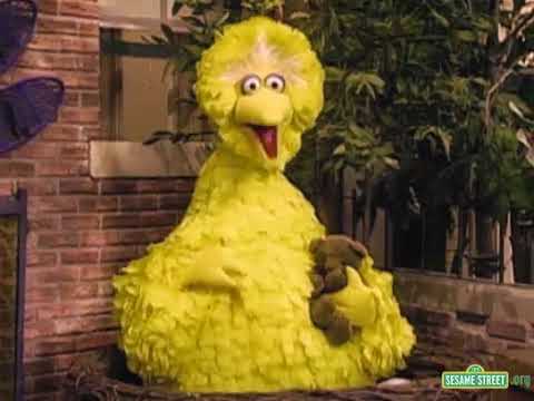 Sesame Street Big Bird Crying