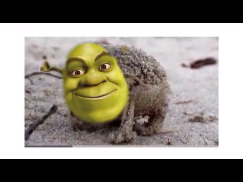 Shrek 2 Frog Dying ~ Shrek Titanic Funny Movie Poster Parodies Jokes ...