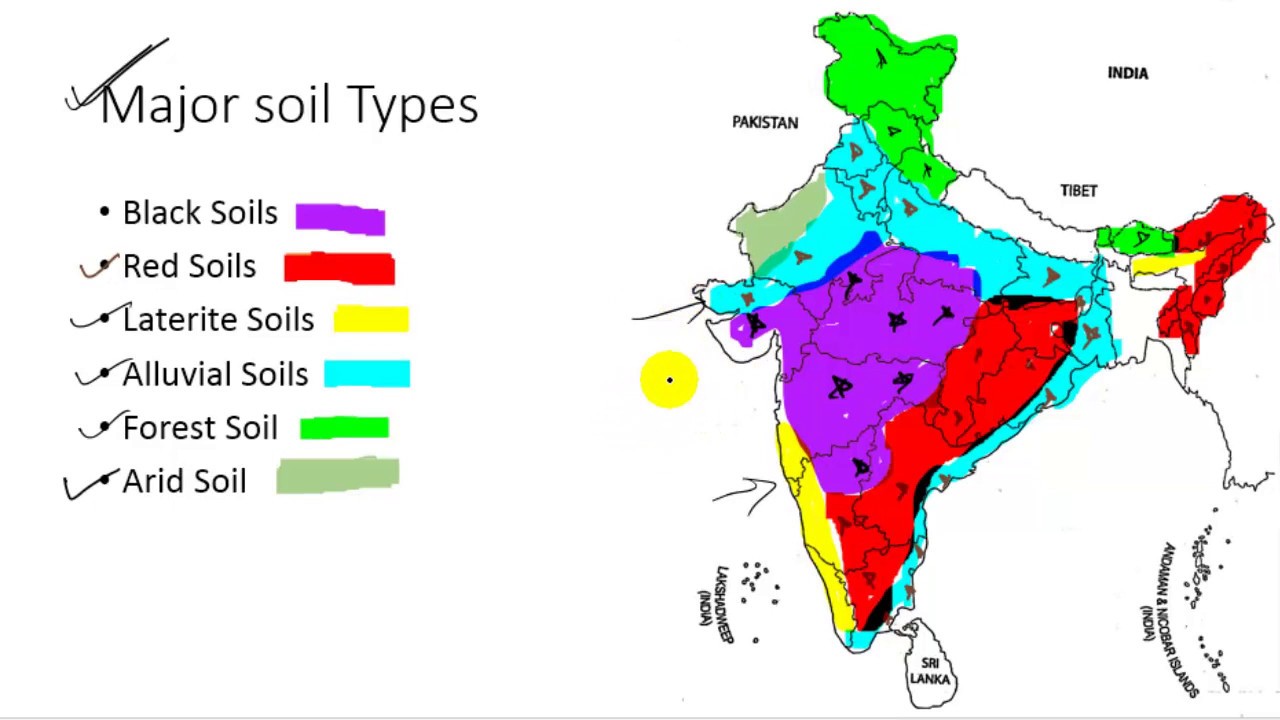 Soil Map Of India Define Types Of Soils In India, 58% OFF