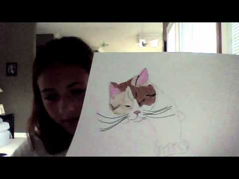 Drawing of Calico Cat - YouTube