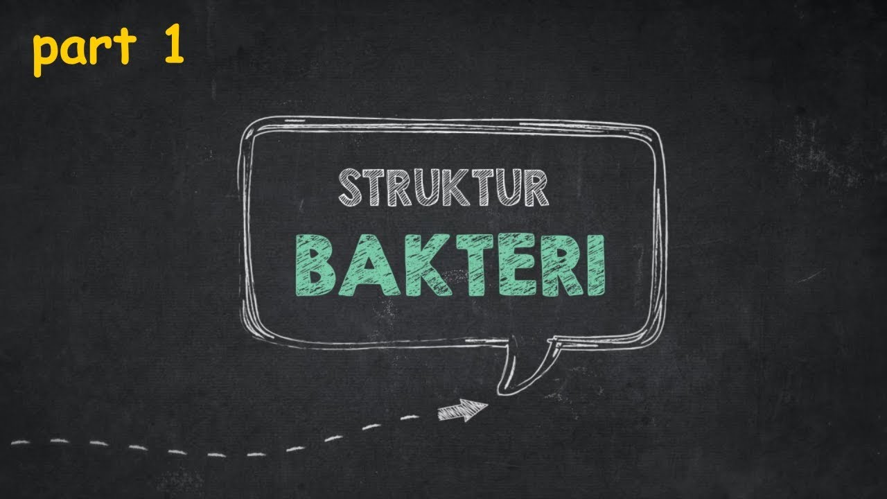 Struktur bakteri part 1 - adnanbiologi - YouTube