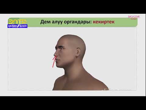 8-класс | Биология |  Дем алуу