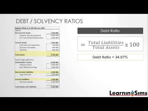 Debt Ratios