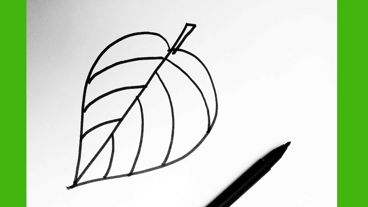 Simple Leaf Drawing For Kids