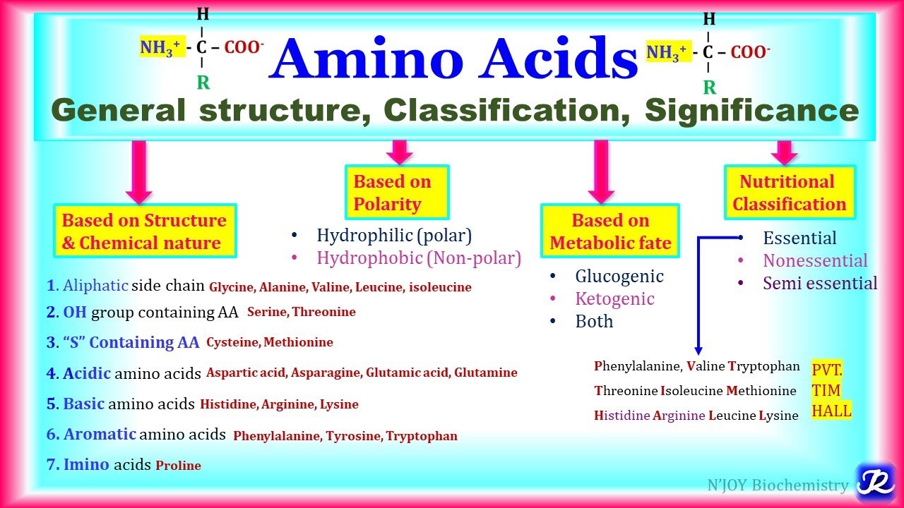 Amino Acids Classification