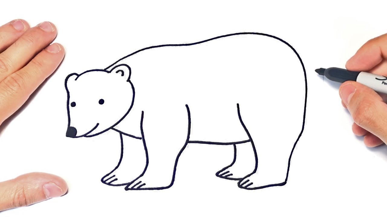 1 How To Draw A Polar Bear Step By Step Polar Bear Drawing Lesson Youtube Polar Bear Drawing Bear Drawing Drawing Lessons