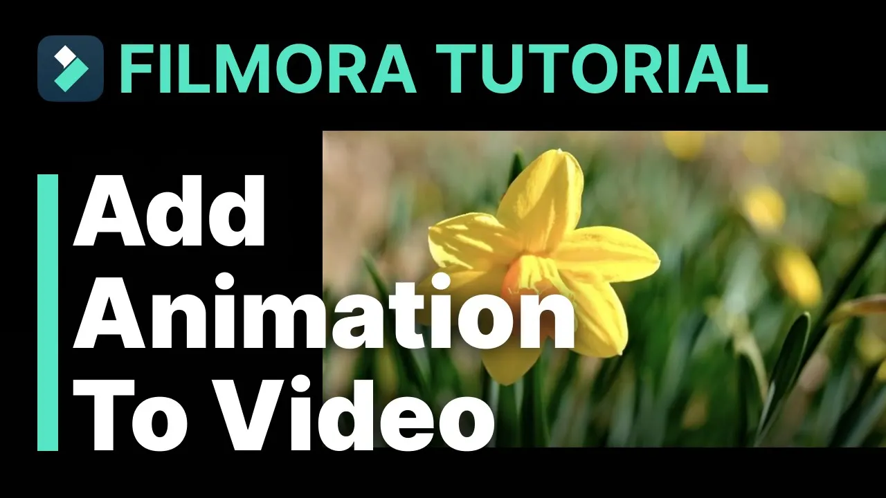 add animation to video