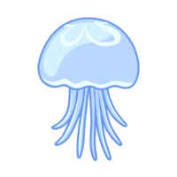 jellyfish