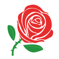 Silhouette of red rose