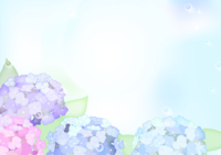 Fashionable and beautiful hydrangea background illustration / rainy season