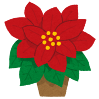 Poinsettia