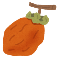 Dried persimmon