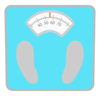 Weight scale