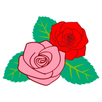 Rose flower