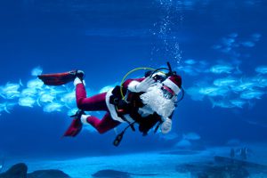 SCUBA-diving Santa.