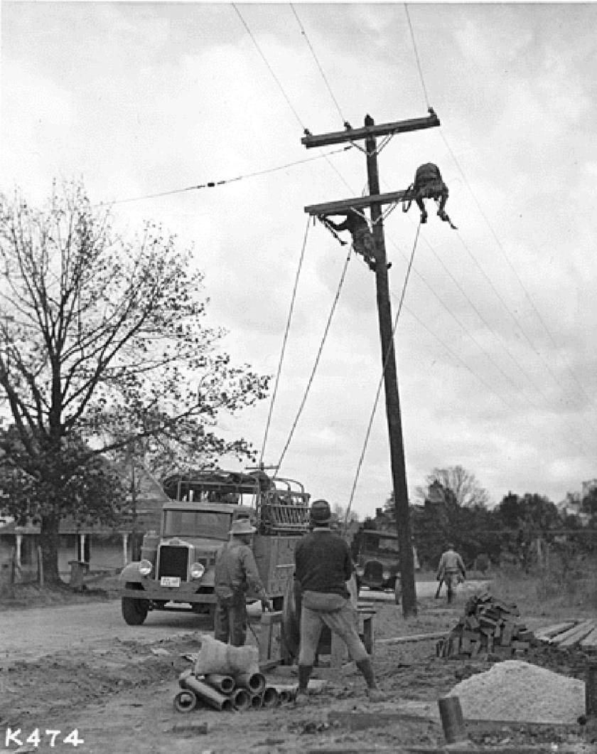 Farmers and co-op members assisting professional telephone pole installers raise a rural phone pole, with rope and pulleys, 1930s.