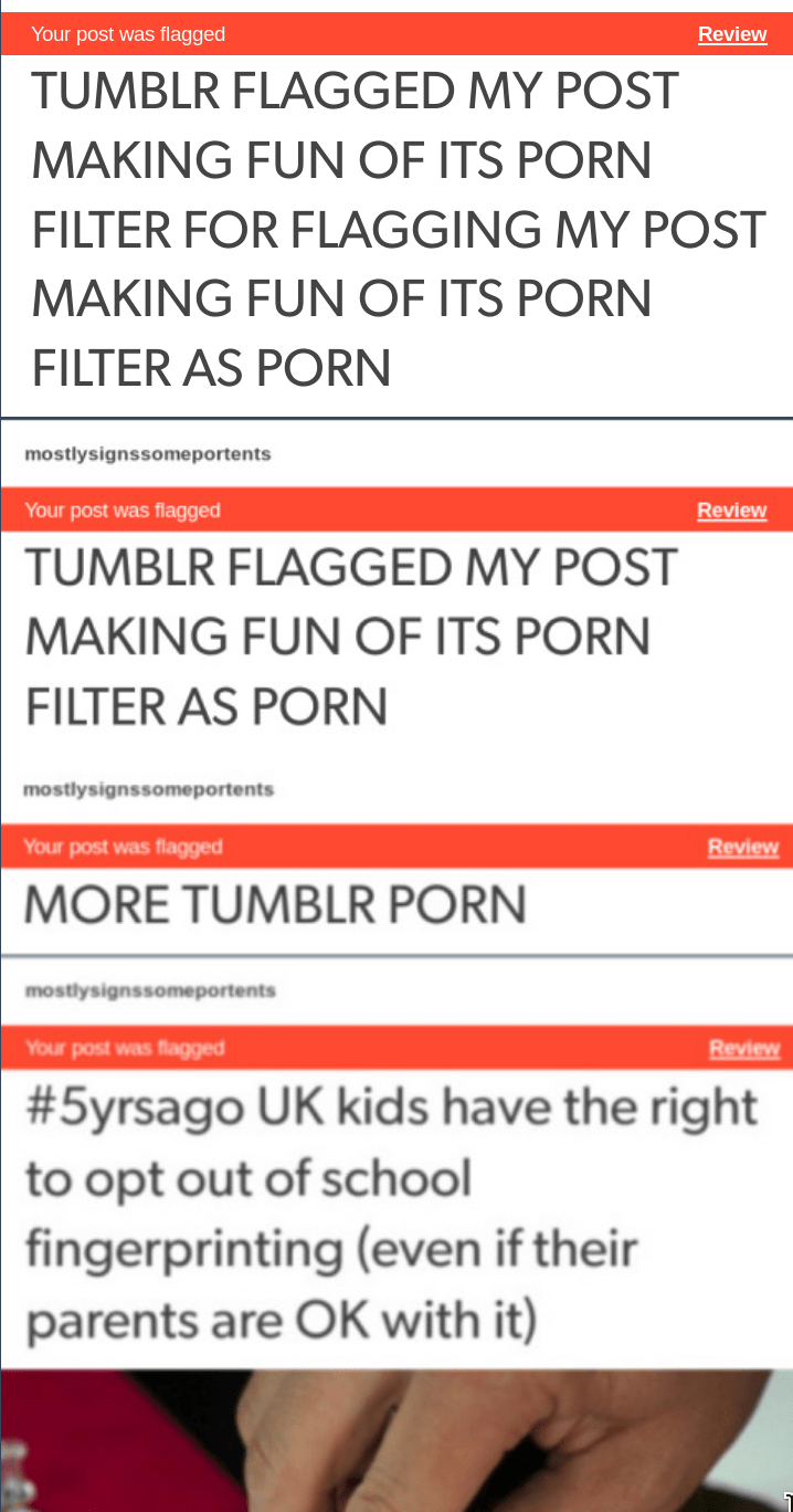 A series of nested Tumblr posts marveling at the foolishness of Tumblr's filter.