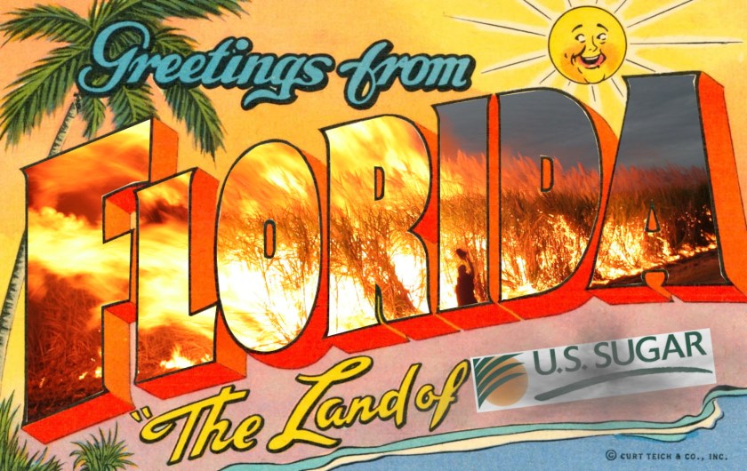 A vintage 'Greetings from Florida' postcard with the subtitle 'The land of sunshine.' The large, central stylized 'FLORIDA' lettering has been removed to reveal a hellish scene of cane-burning. The word 'sunshine' has been replaced with a soot-marred U.S. Sugar logo.