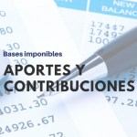 Bases imponibles aportes y contribuciones ANSEs resolucion