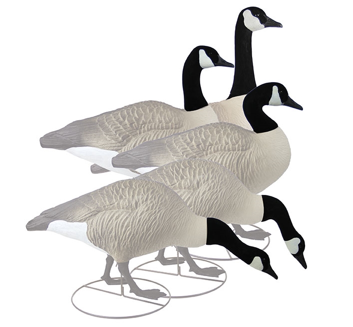 Canada Goose Drawing Free download on ClipArtMag