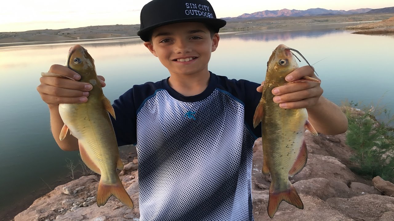 Fishing Lake Mead Kid Catches a Bunch of Fish Only 20