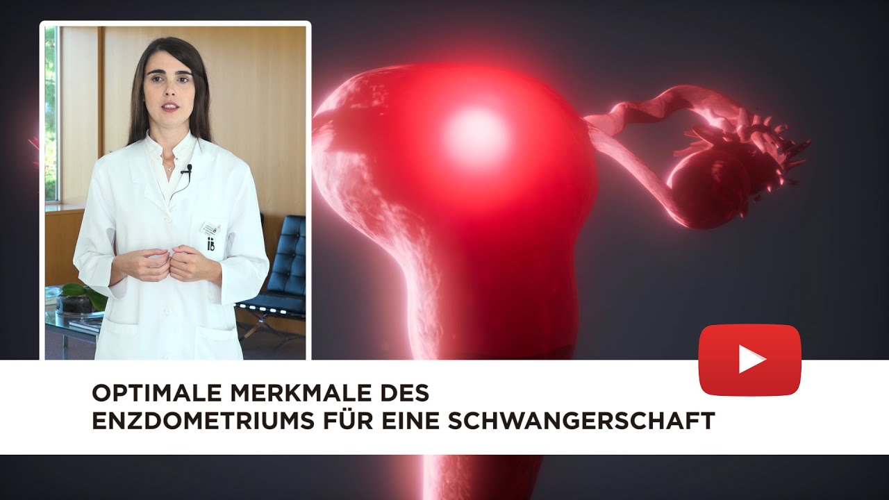 Optimale Merkmale des Endometriums für eine Schwangerschaft