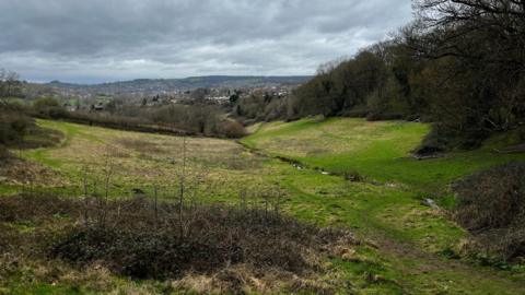 The Heavens Valley in Stroud. A field that slopes in the middle, surrounded by trees and bushes on a grey early spring day, looks over a town in the distance.