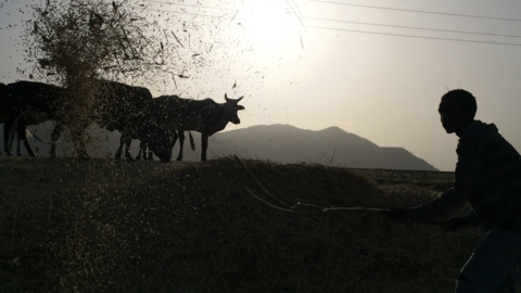 countryside around Korem