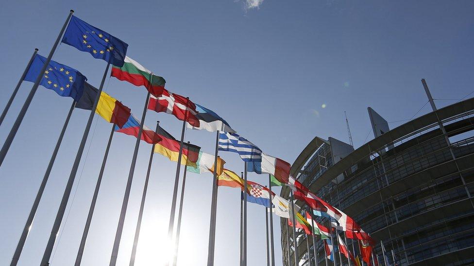 Flags of European Union member states in front of the European Parliament building, Strasbourg