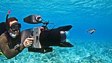 Underwater HD cameras
