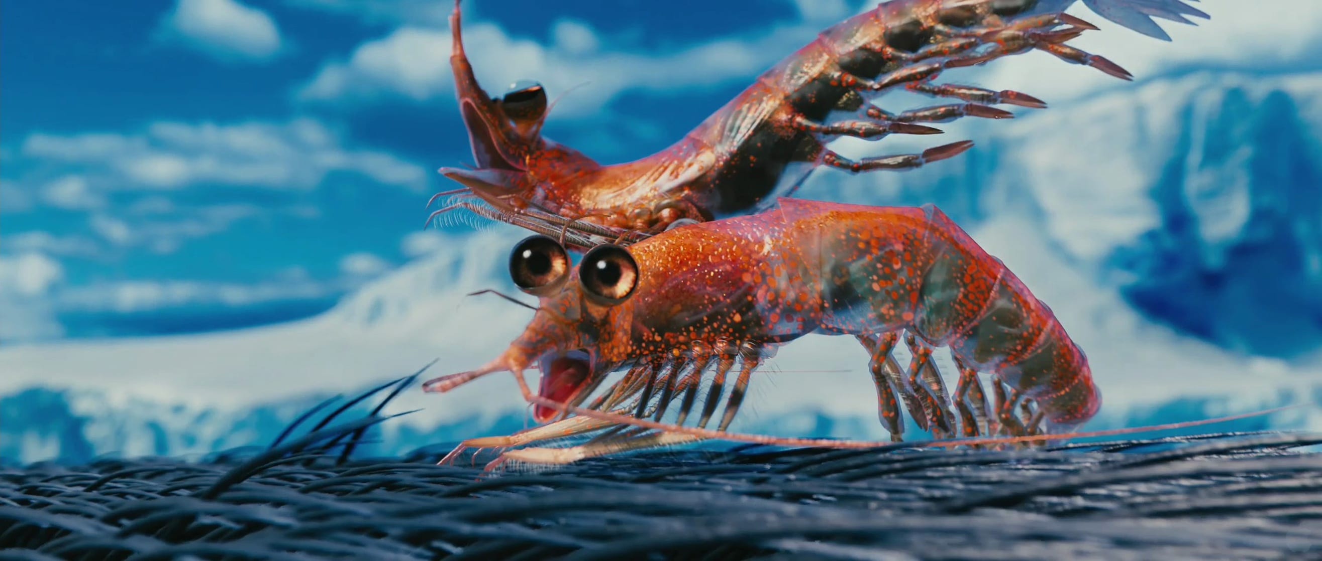 Will the Krill