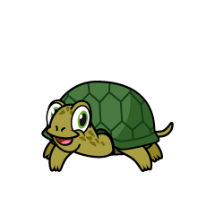 Tortuga Sonriente