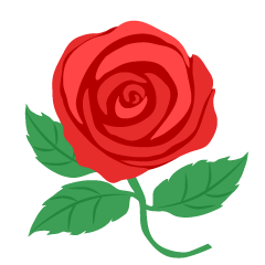 Red Rose