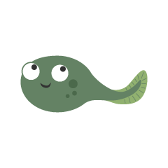 Tadpole