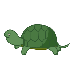 Linda tortuga verde