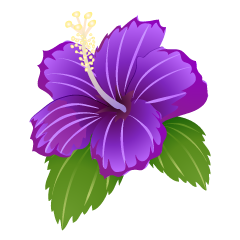 Purple Hibiscus