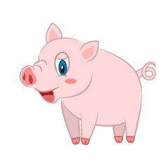 Pig