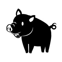 Black and White Pig