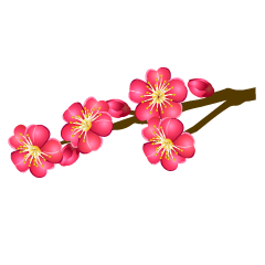 Plum Flowers