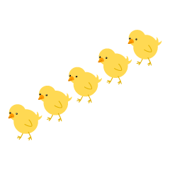 Chicks Walking in Row