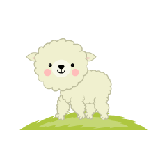 Cute Sheep