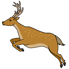 Jumping Deer