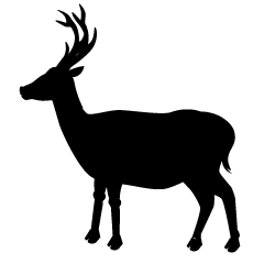 Deer from Side Silhouette