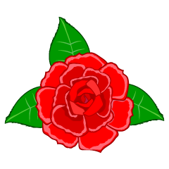 Red Rose Flower