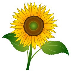 One Sunflower