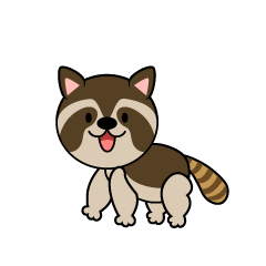 Cute Raccoon