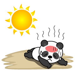 Heat Stroke in Panda